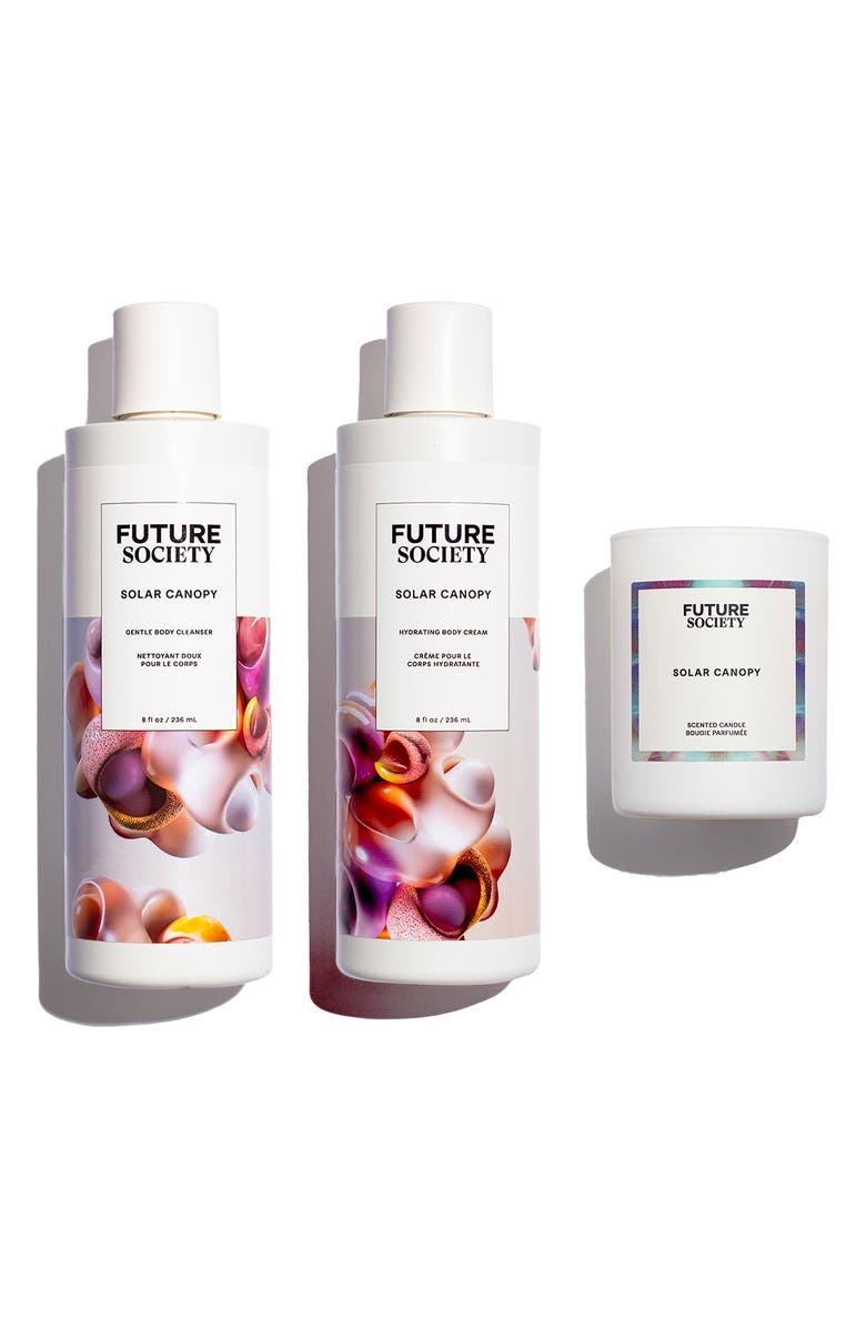 Future Society Deluxe Solar Canopy 3-Piece Set, Alternate, color,