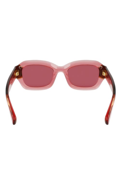 Longchamp Heritage 50mm Cat Eye Sunglasses In Transparent Rose/rose Havana