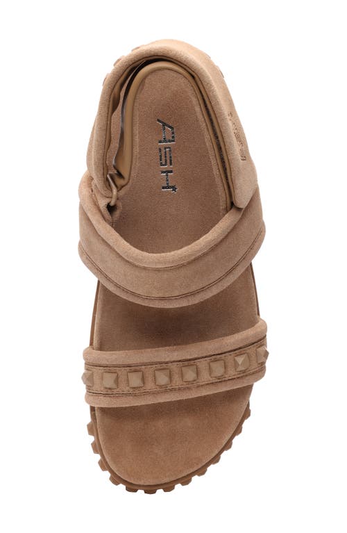 Ash Tixty Studded Slingback Sandal In Noisette Tan