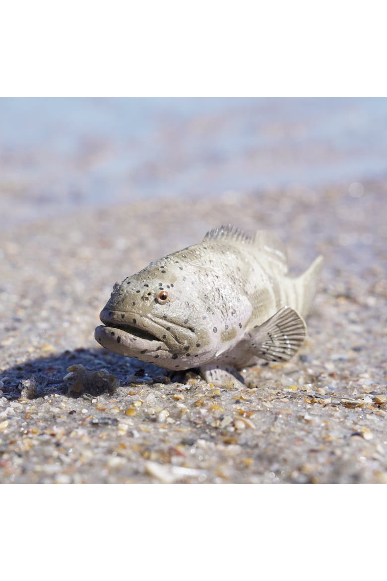 Goliath Grouper Toy, Alternate, color, No Color