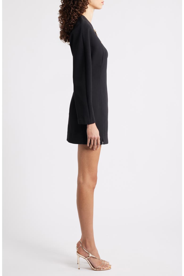 Brotton Long Sleeve Minidress, Alternate, color, BLACK