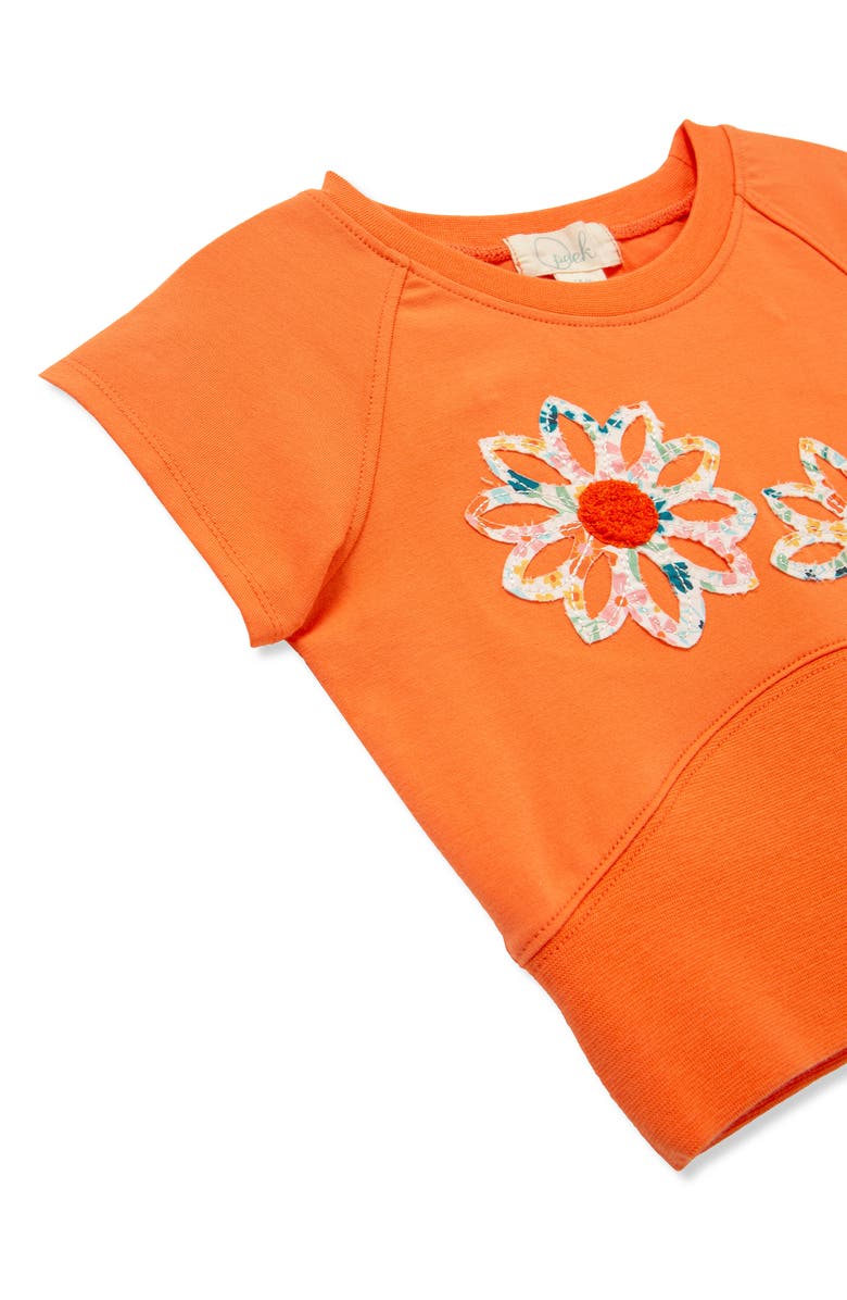 Peek Aren't You Curious Kids' Appliqué Flowers T-Shirt & Shorts Set, Alternate, color,