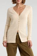 Sanctuary Pointelle Stitch Raglan Sleeve Cardigan