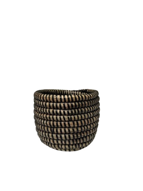 Succulent Basket Planter Success