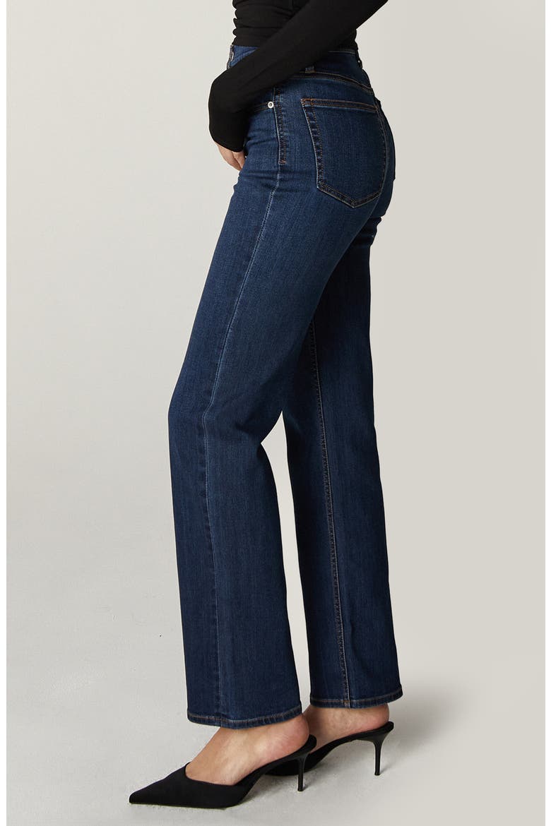 Rae High Waist Straight Leg Jeans, Alternate, color, DARK BLUE