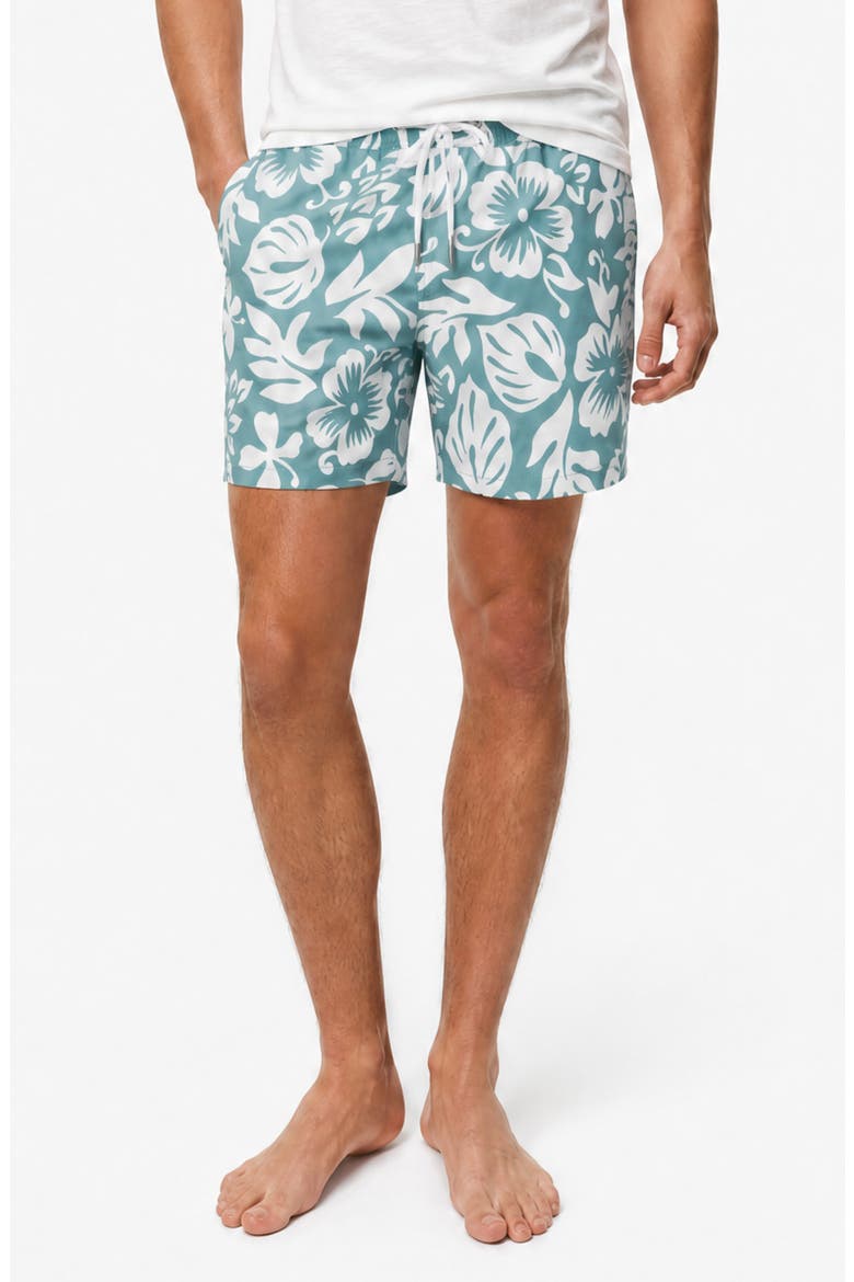 Stretch Volley Swim Trunks, Main, color, SAGE MULTI
