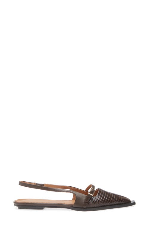 Atp Atelier Cortina Pointed Toe Slingback Flat In Animal Print