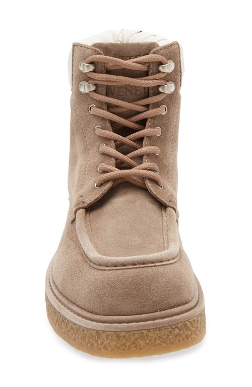 Bottega Veneta Suede Haddock Lace-up Boots In Driftwood/white