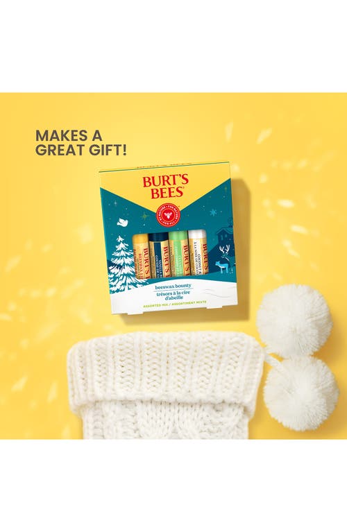Burt's Bees Beeswax Bounty Lip Balm Gift Set In Transparent