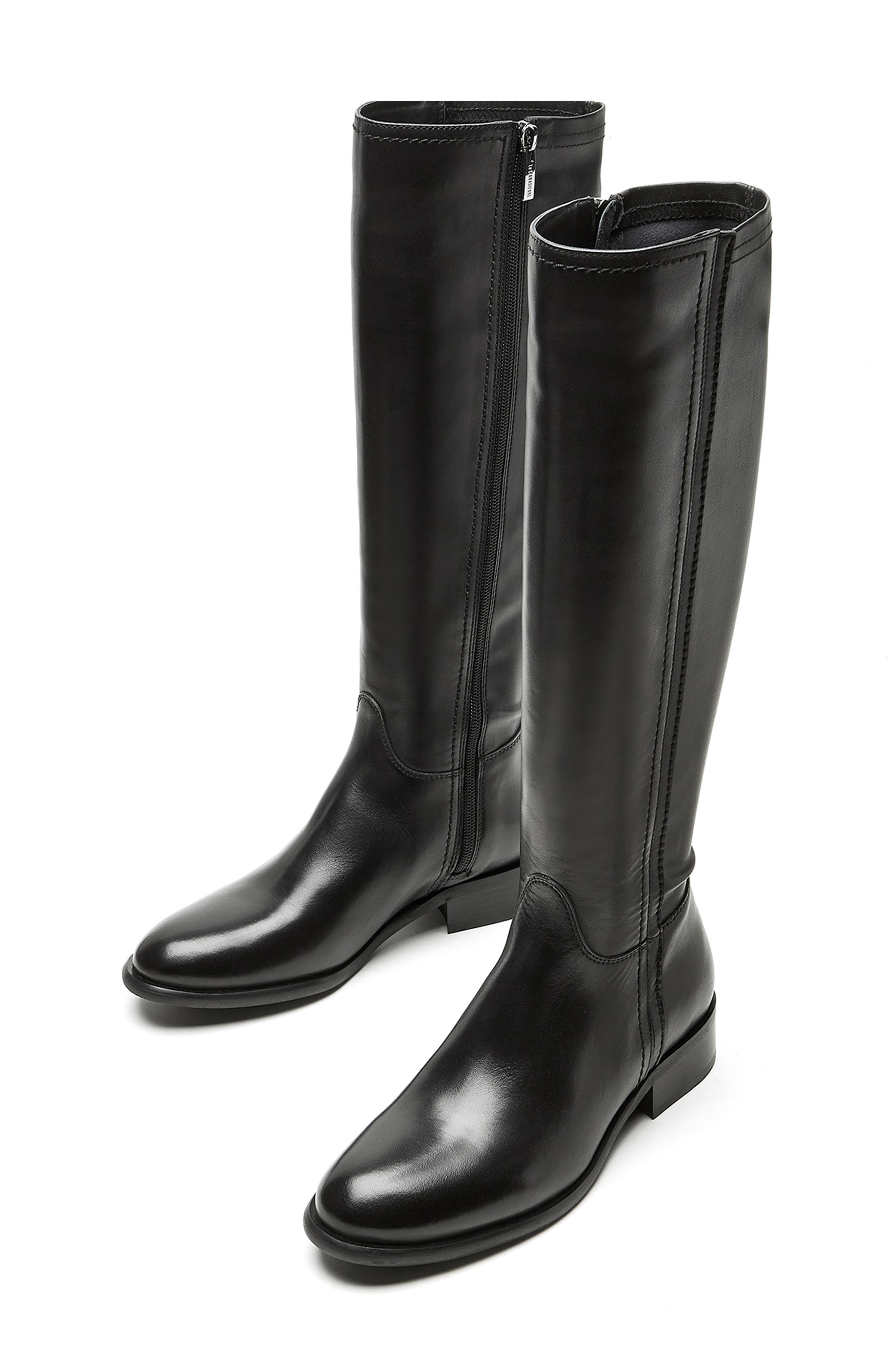 La Canadienne Amir Waterproof Tall Boot, Alternate, color, 