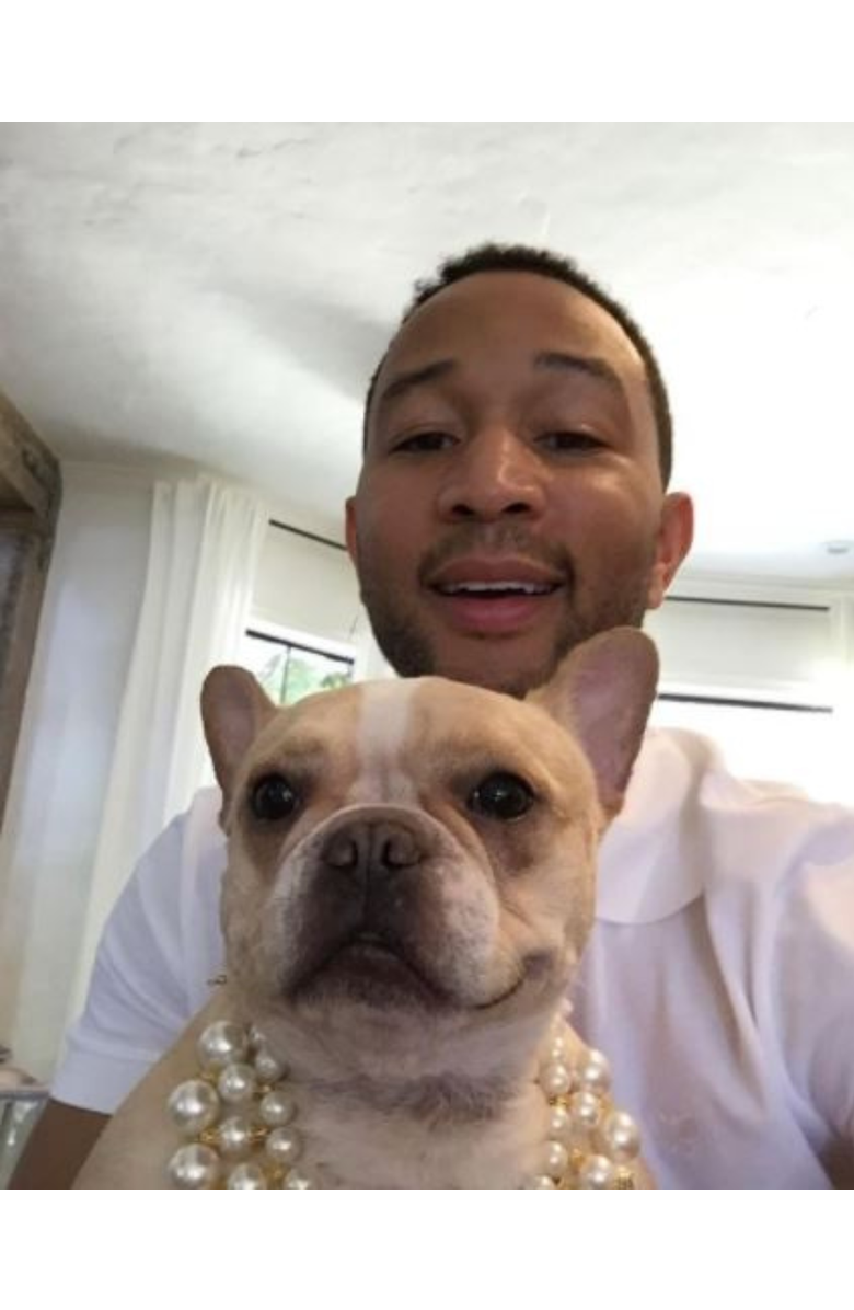 Moshiqa Dubai Dog Necklace, Alternate, color, 