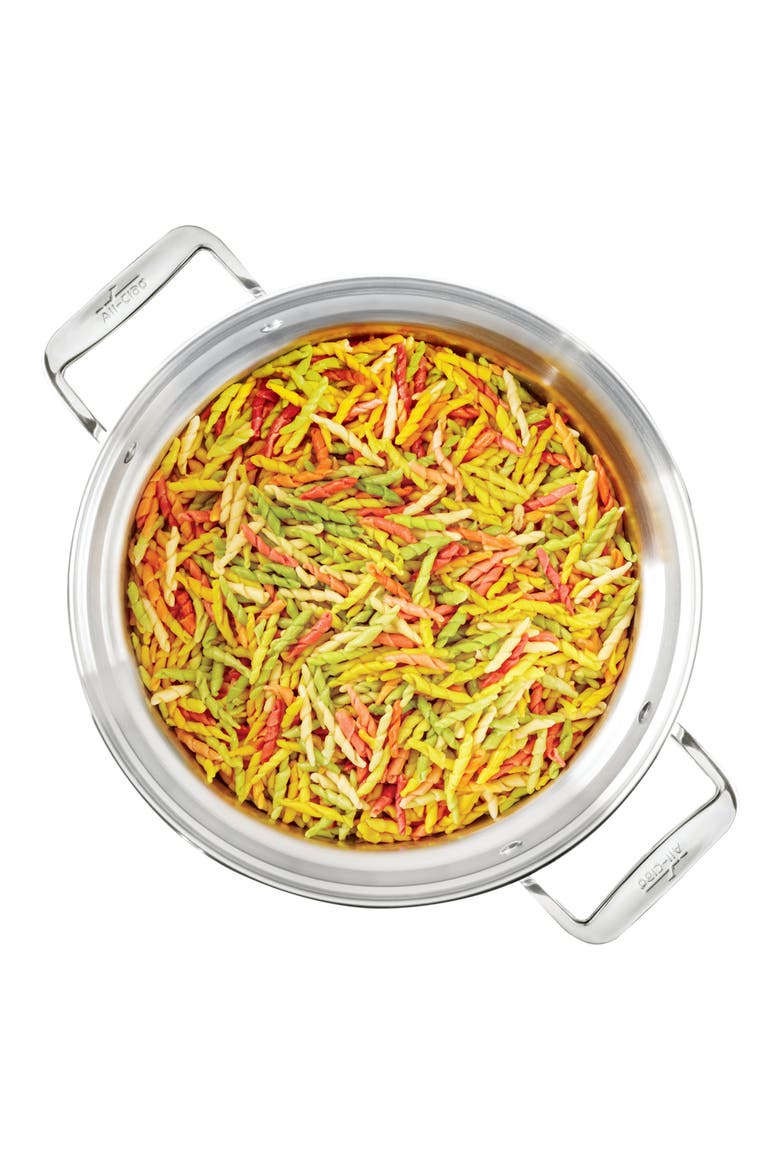 Stainless Steel 12-Quart Multi Pot with Lid, Alternate, color, STAINLESS