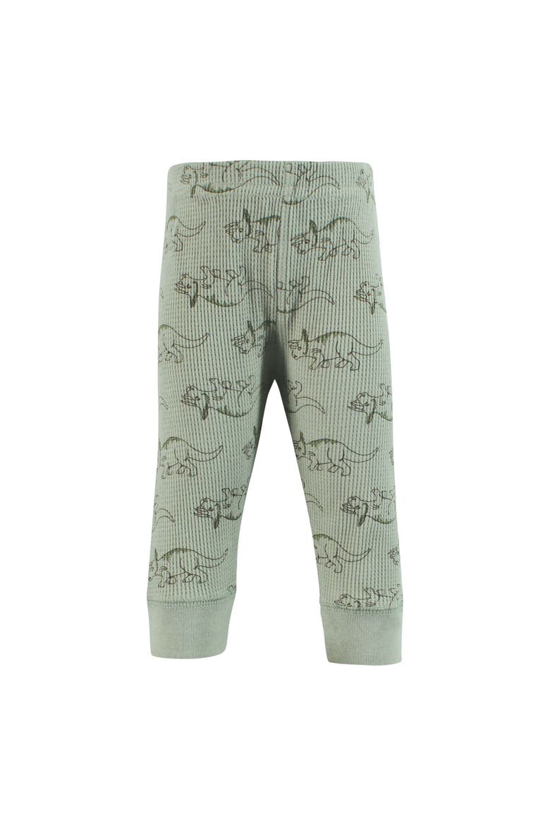 Insulated Slim-Leg Pants 4-Piece Warmth Bundle, Alternate, color, Sage Dinosaur