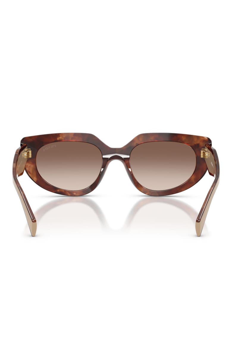 54mm Oval Sunglasses, Alternate, color, CARAMEL TORTOISE / BROWN