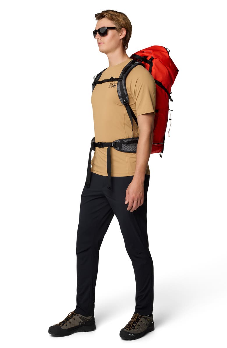 Mountain Hardwear Dynama Pants, Alternate, color,