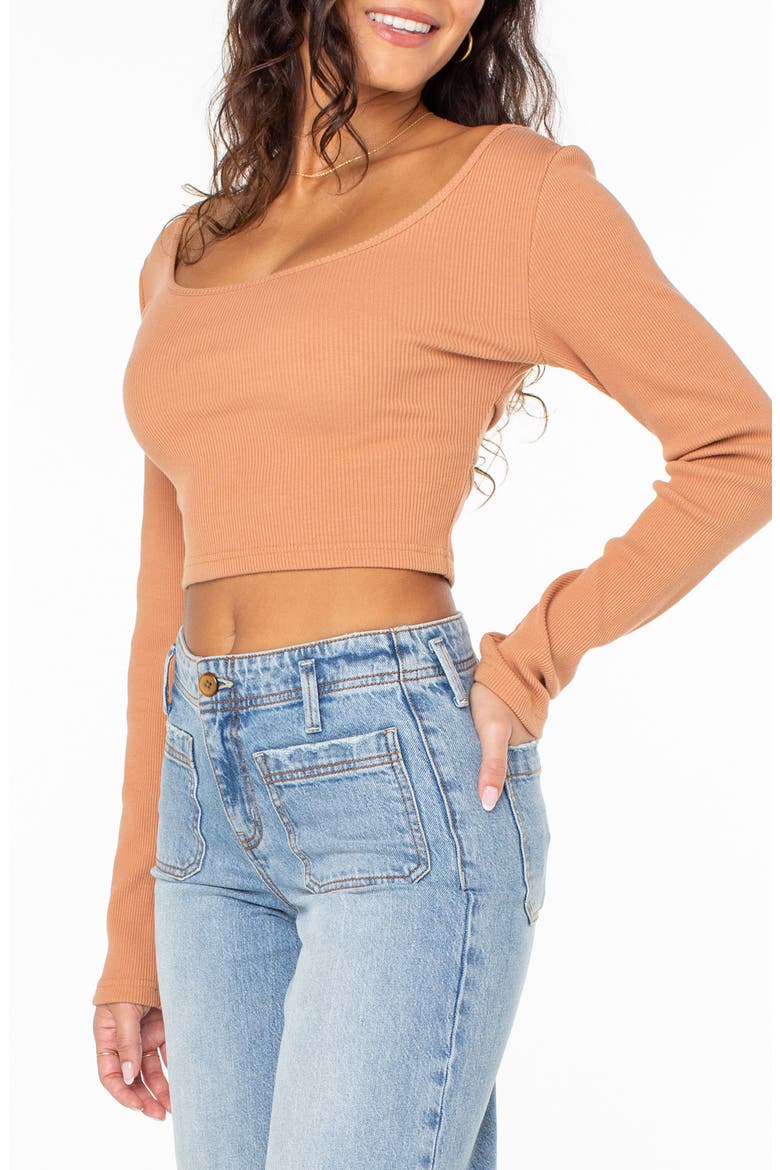 Good Keepsake Long Sleeve Ribbed Crop Top, Alternate, color, RUSSET