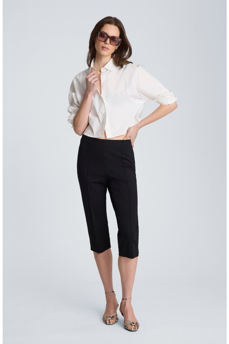 Pintuck Capri Pants, Alternate, color, BLACK