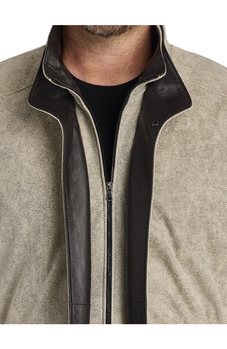 Remy Big & Tall Double-Collar Diego Leather Jacket, Alternate, color, Grey