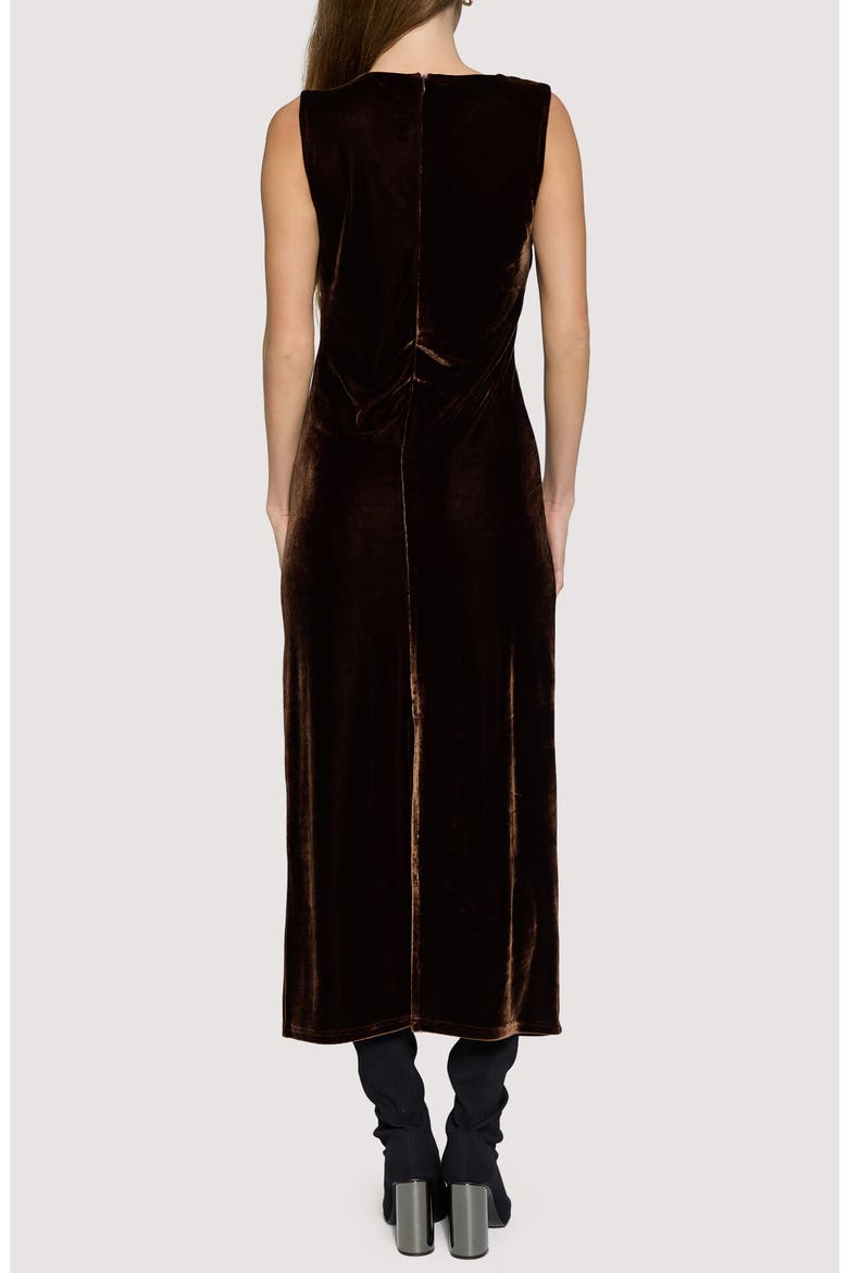 Woodland Hour Stretch Velvet Maxi Dress, Alternate, color, BROWN