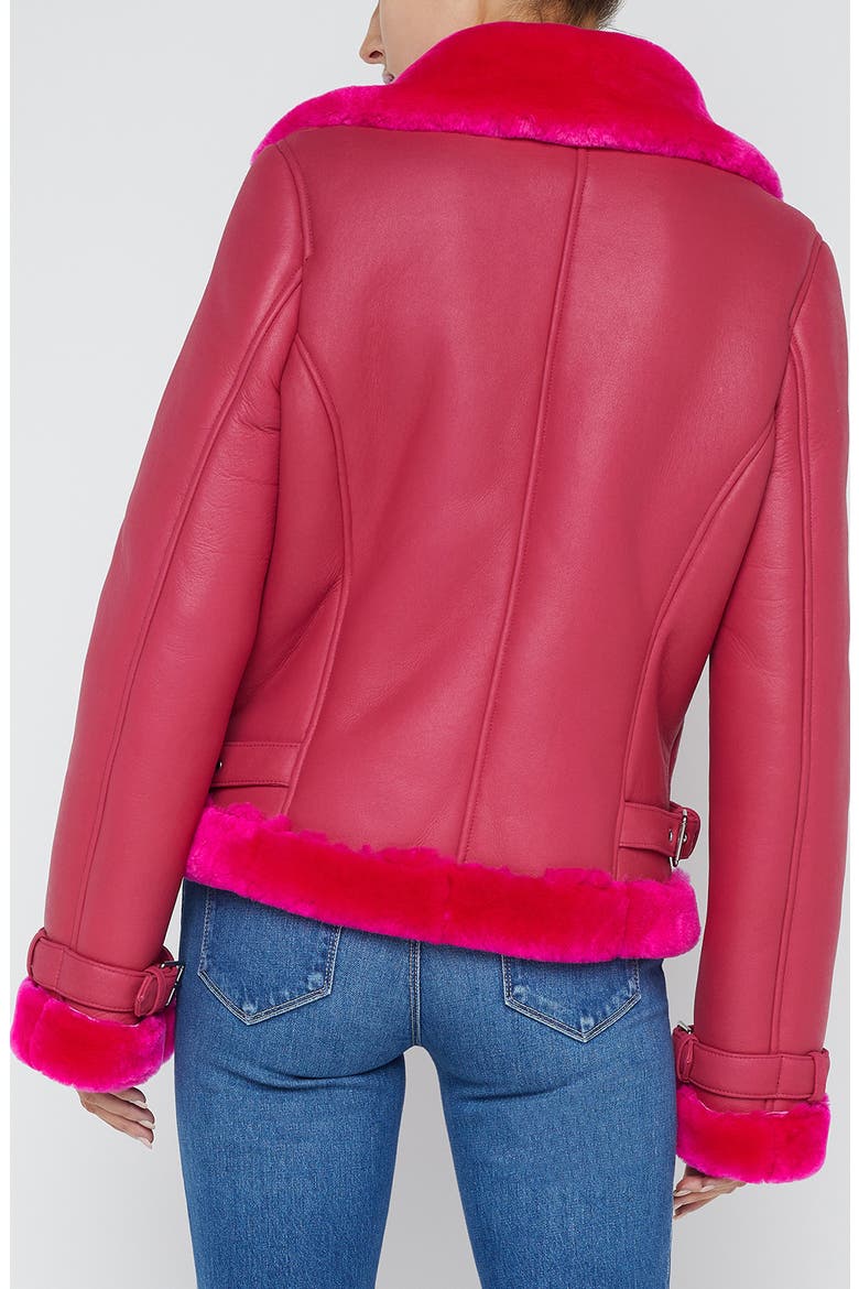 Niri Genuine Shearling Moto Jacket, Alternate, color, PINK GLO