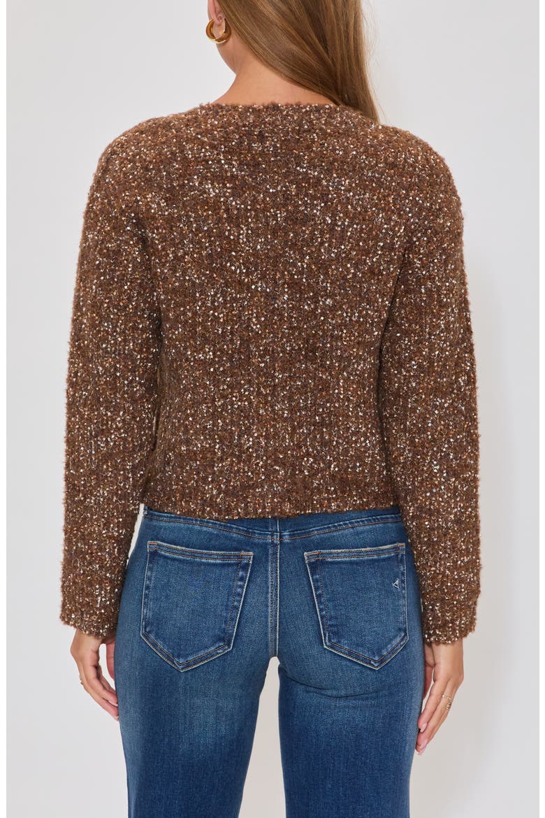 Toasty Cardigan, Alternate, color, BROWN