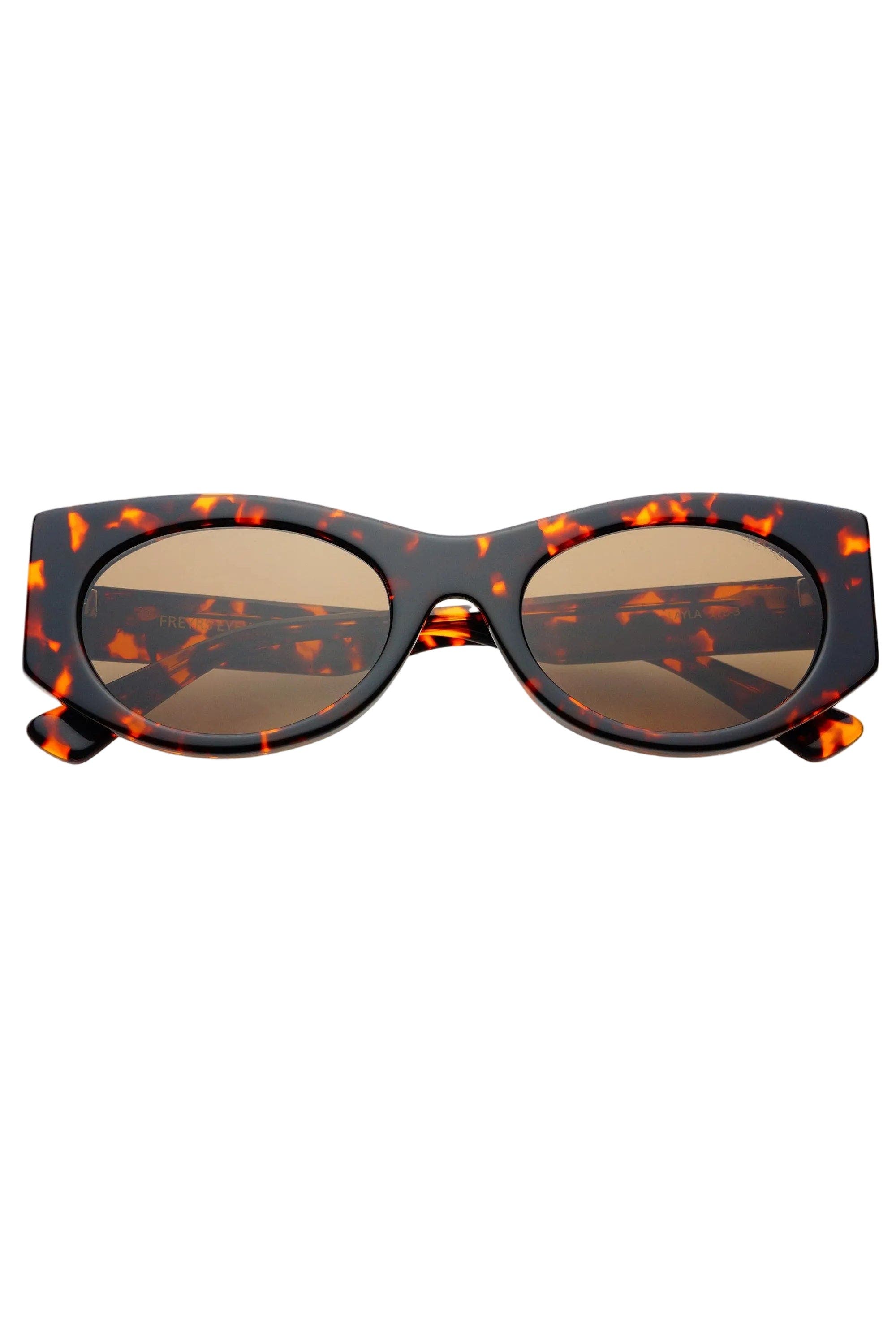 selected Brown Tortoise