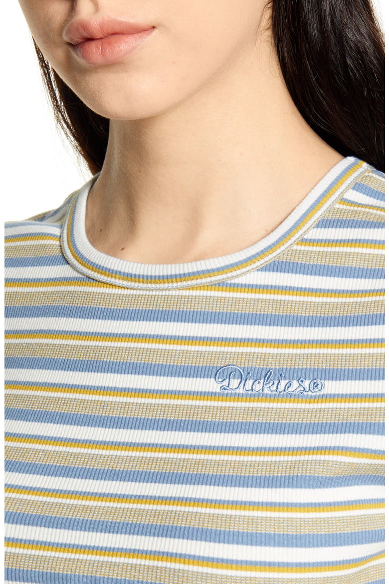 Stripe Ribbed Crop T-Shirt, Alternate, color, CHAMBRAY STRIPE