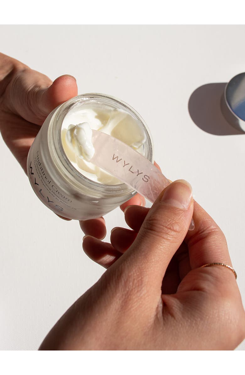 WYLYS Jade & Rose Quartz Spatula Set, Alternate, color, NO COLOR