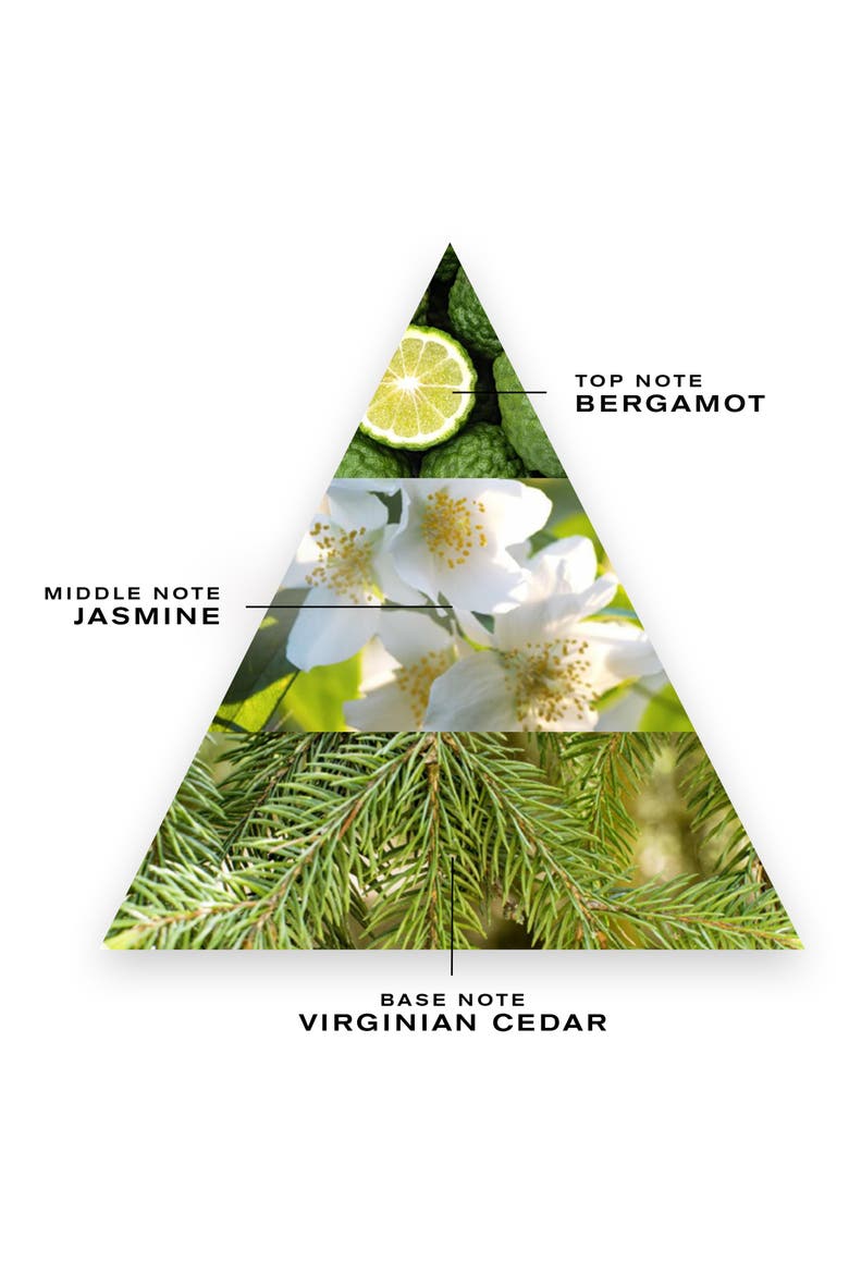 Cedre Blanc Fragrance, Alternate, color, NO COLOR