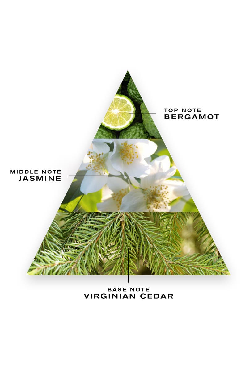 Creed Cedre Blanc Fragrance, Alternate, color,