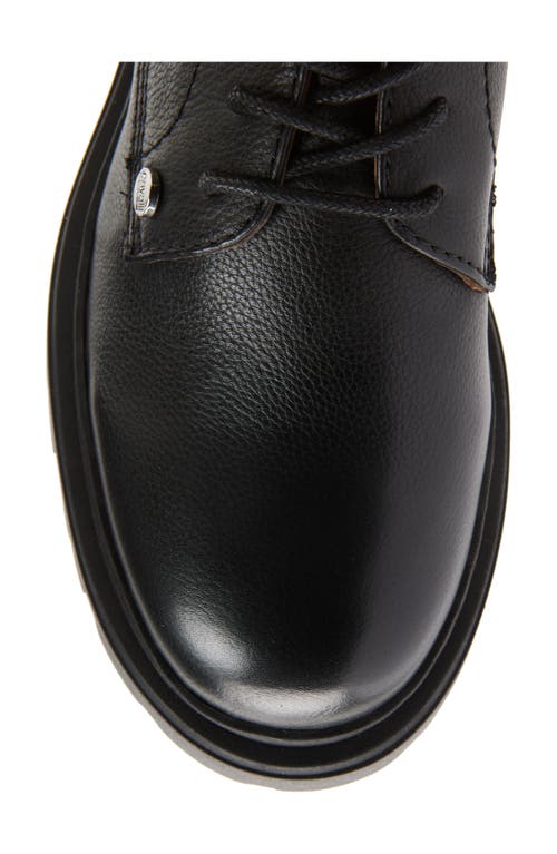 Roberto Cavalli Braise Combat Boot In Multi