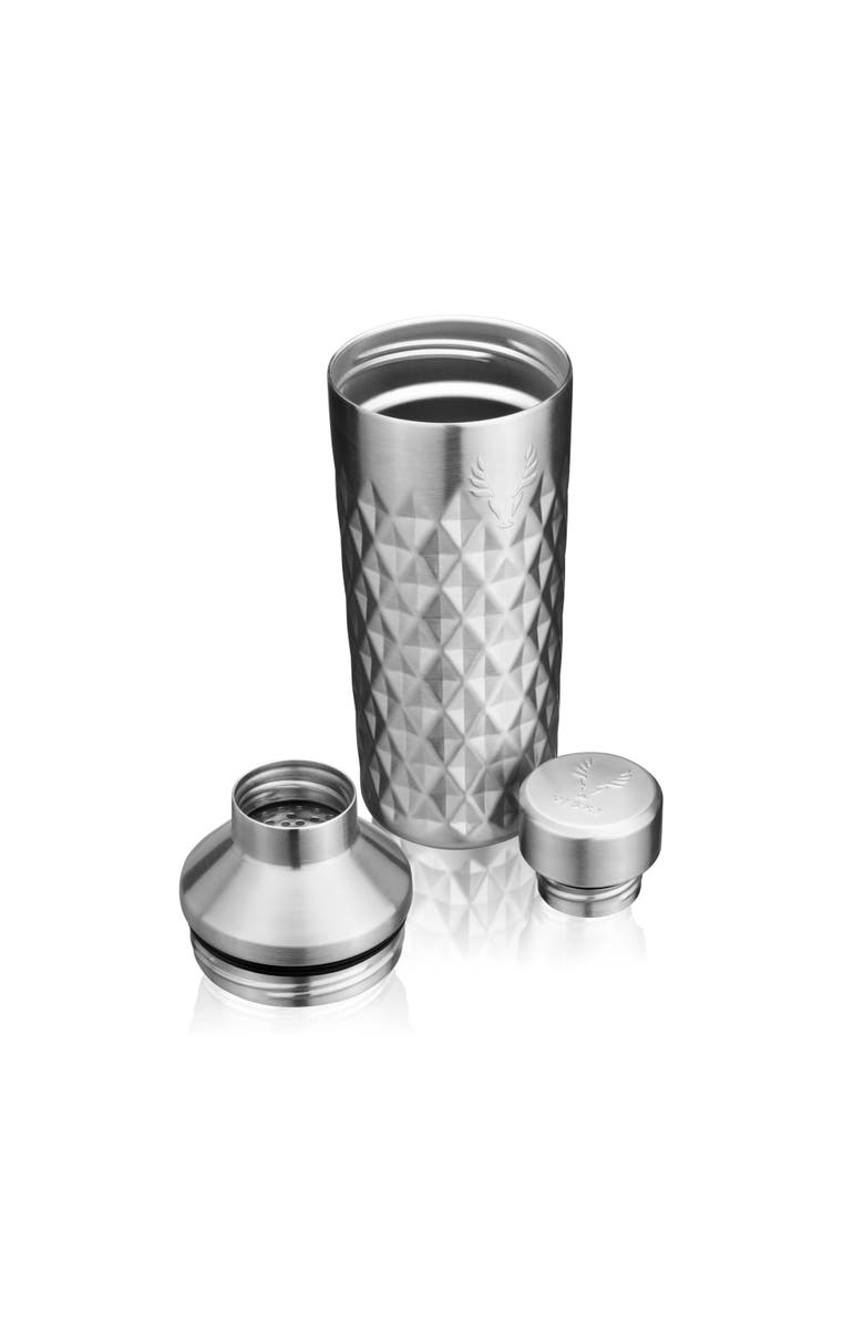Viski Paragon Stainless Steel Cocktail Shaker, Alternate, color, Platinum