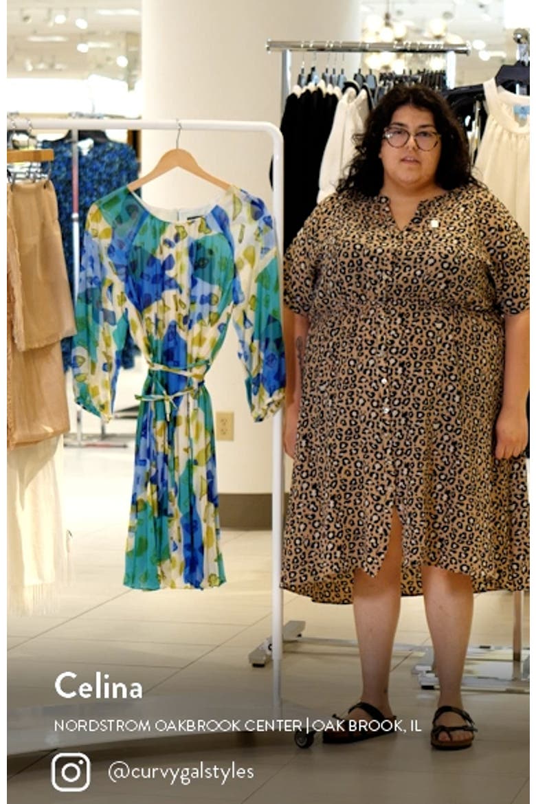 Print Pleated Chiffon Trapeze Dress video