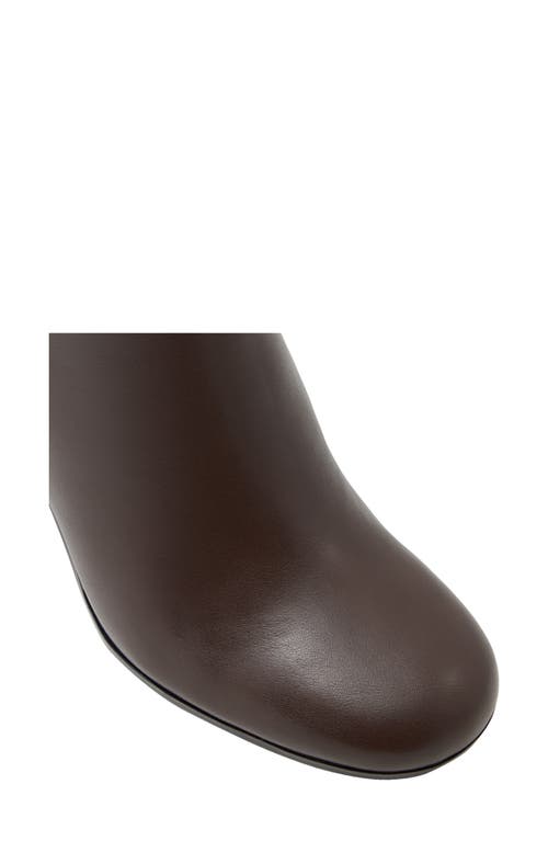 Call It Spring By Aldo Mattiie Knee High Boot In Brown