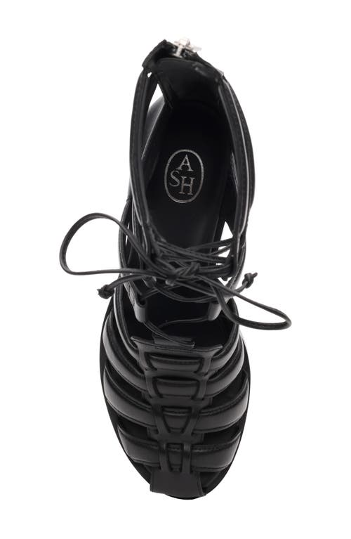 Ash Juvia Lace-up Gladiator Sandal In Black