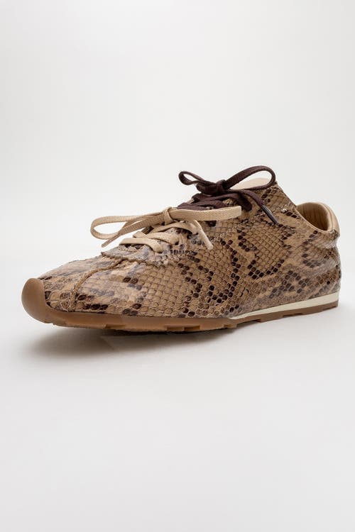 Forever & Always Shoes Crea Leather Sneakers In Open Brown Leather