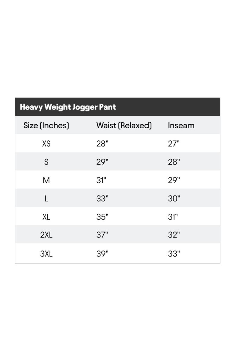 Dalix Mens Astronaut Heavyweight Fleece Sweatpant, Alternate, color, Black