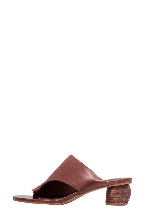 Antelope Afton Toe Loop Leather Dress Sandal In Coffee