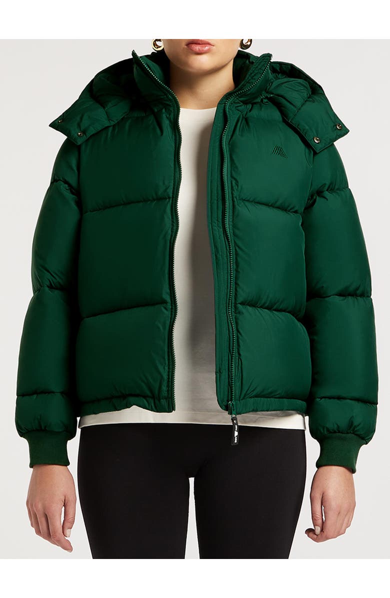 4TH ARQ Hudson Long Sleeve Hooded Puffer Coat, Alternate, color, 