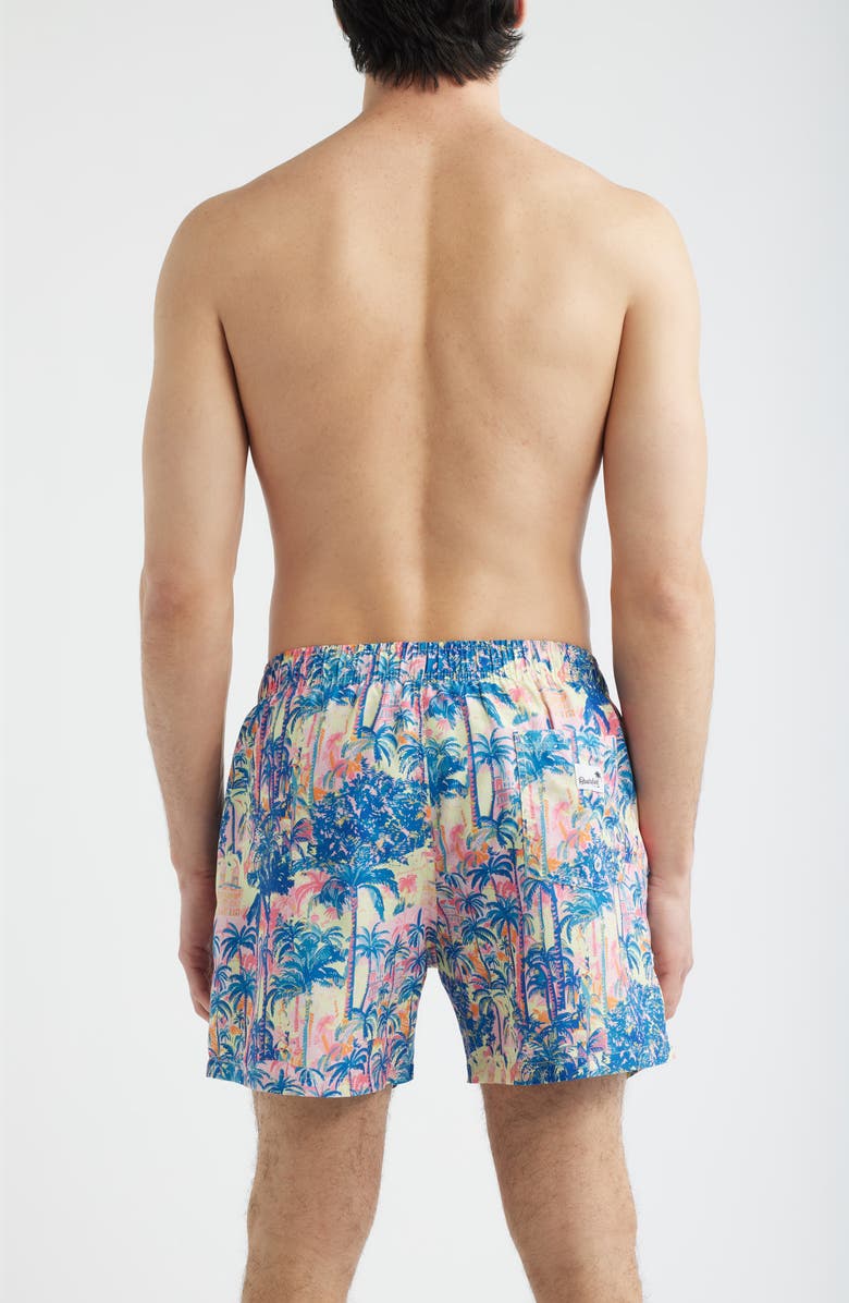 Boardies Havana Print Swim Trunks, Alternate, color, Multi