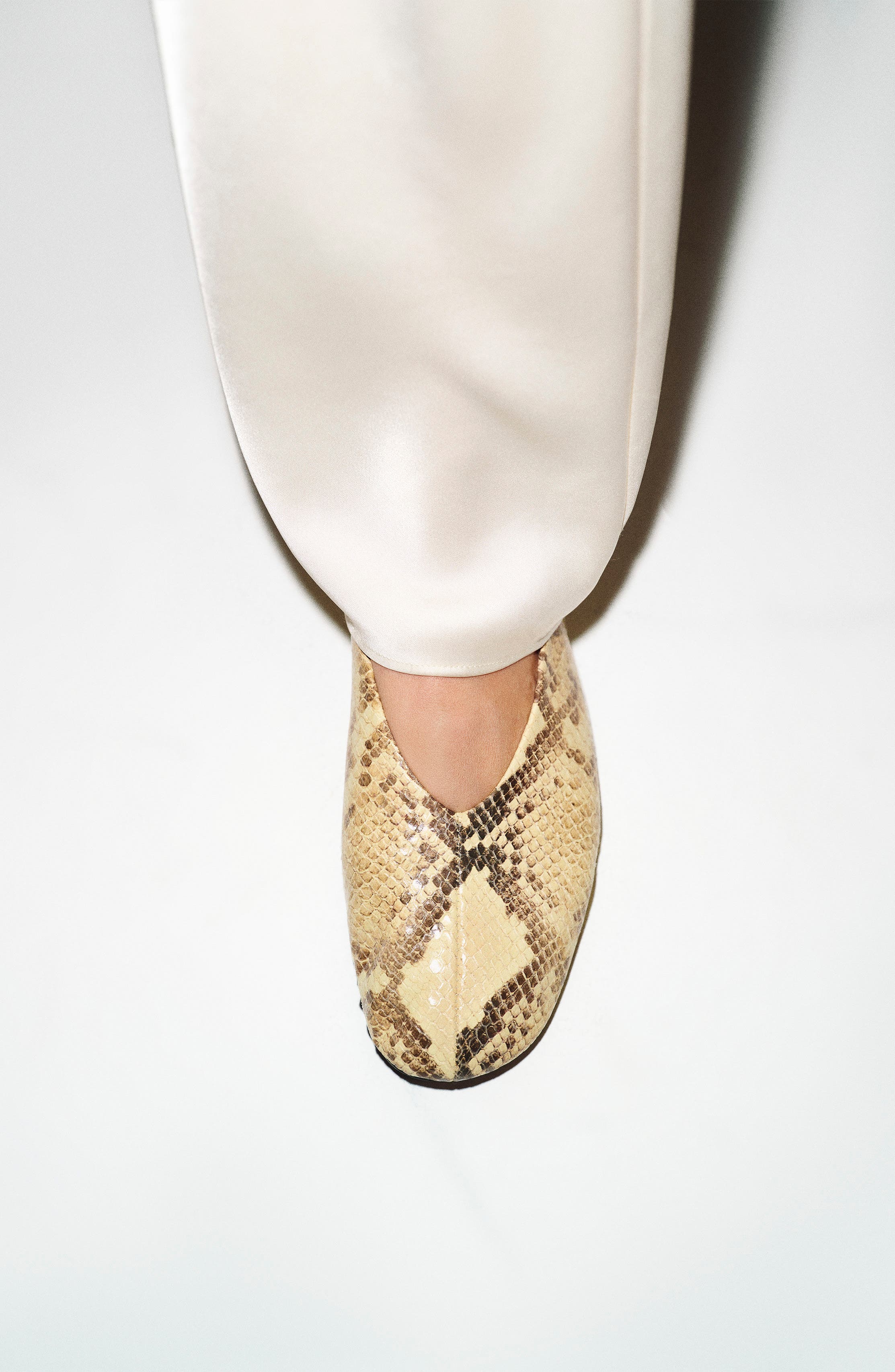 Blaine Flat, Alternate, color, PALE YELLOW SNAKE