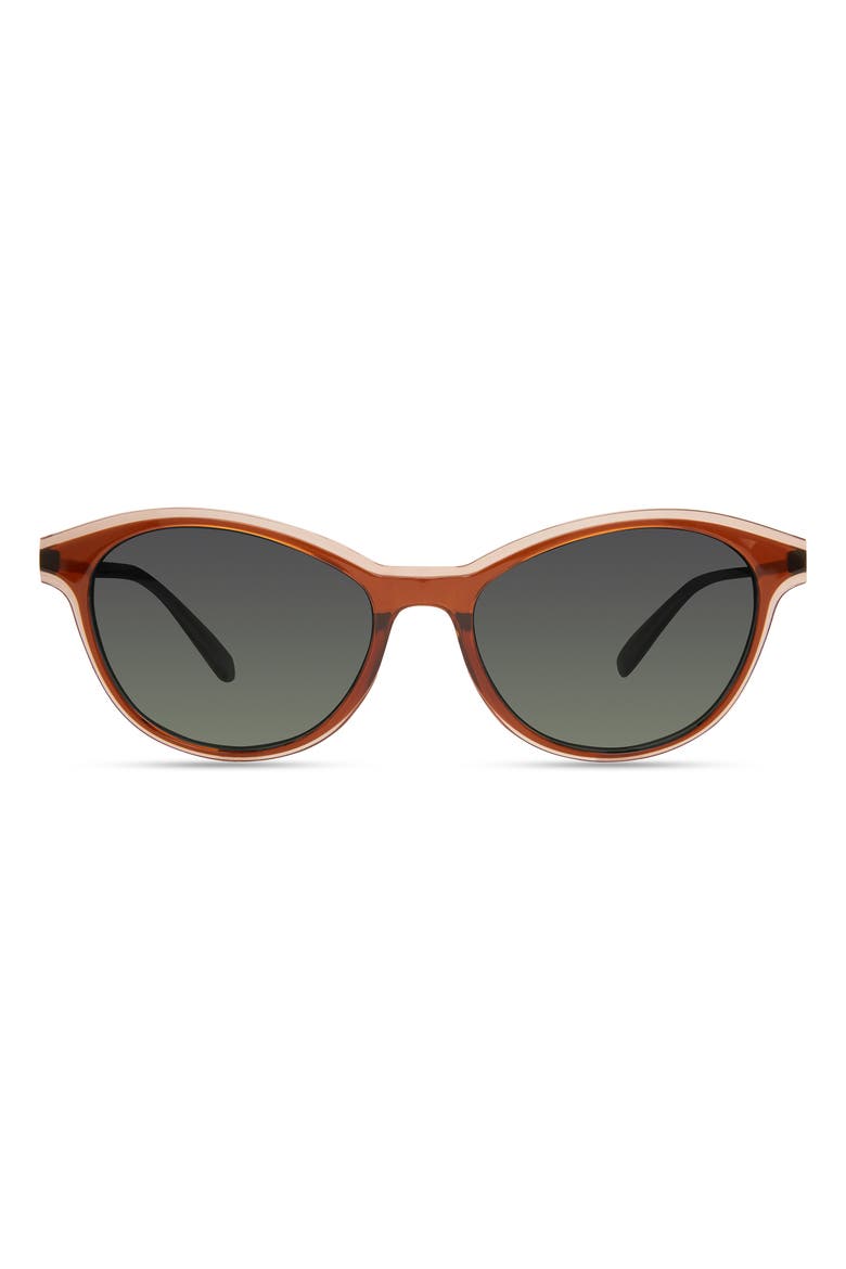706 Sunglasses, Main, color, Warm Brown