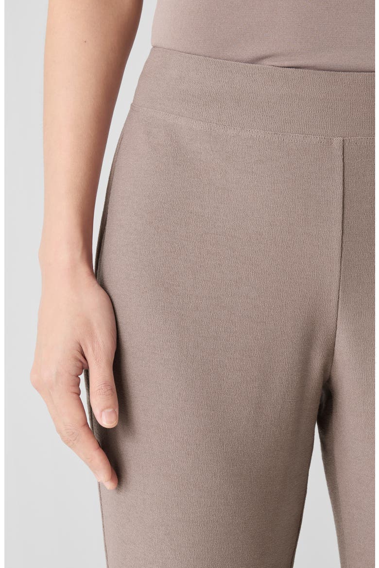 Slim Ankle Pants, Alternate, color, COCOA