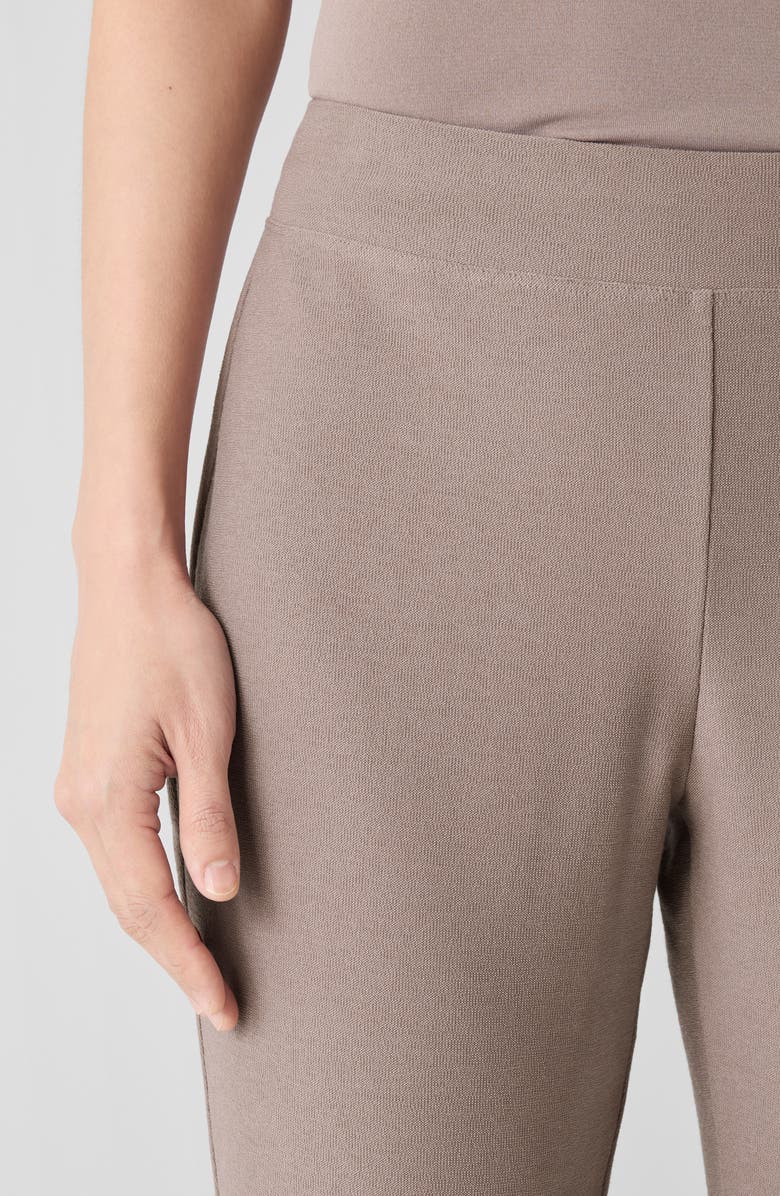 Eileen Fisher Slim Ankle Pants, Alternate, color, Cocoa