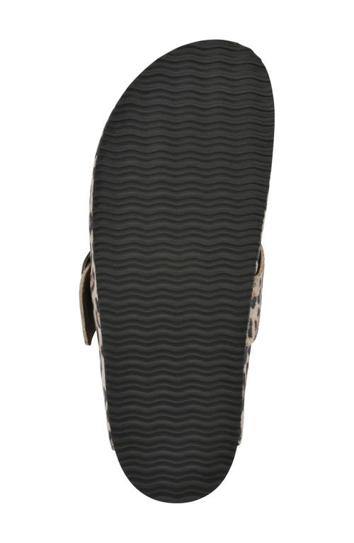 Cliffs By White Mountain Big Easy Buckle Mule In Multi