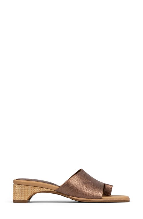Donald Pliner Cascade Mule Sandal In Tobacco
