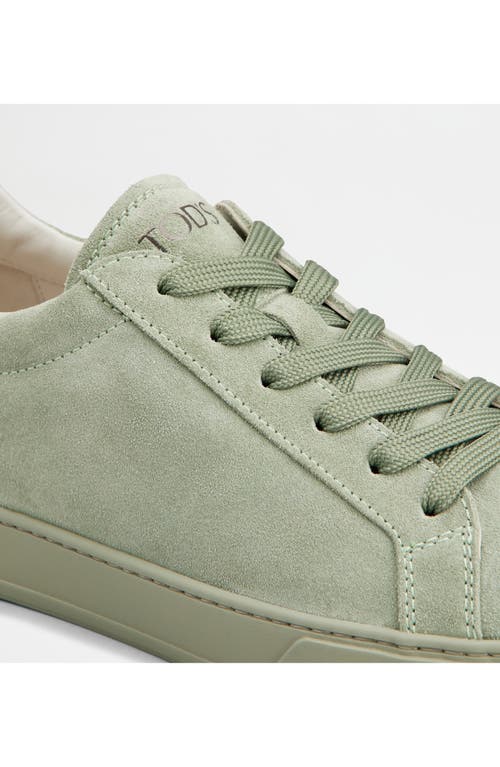 Tod's Allacciata Cassetta Sneaker In Oil Green