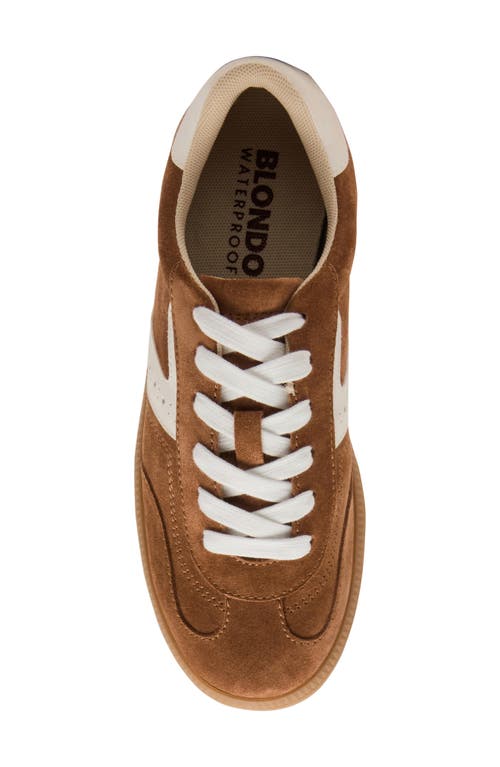Blondo Remmie Sneaker In Brown