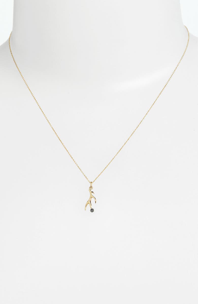 Whitney Stern , Main, color,