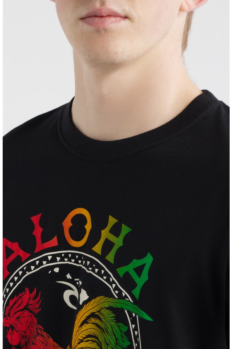 Aloha Hawaii Roster Cotton Graphic T-Shirt, Alternate, color, BLACK